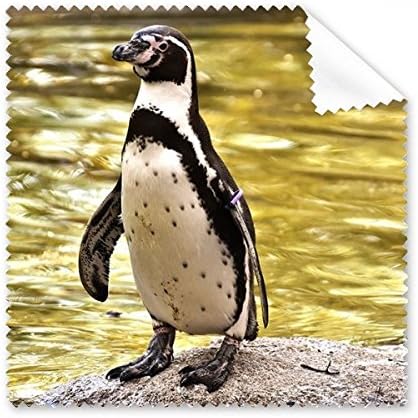 Южен Океански Пингвин Антарктическа Наука за Природата Плат За Почистване на Екрана на Телефона за Пречистване на Точки 5шт