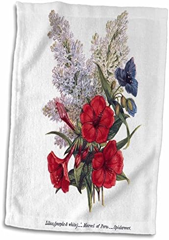 Кърпа 3D Rose Vintage Лилаво-Виолетовият Чудо Перу Spiderwort с Червени, Бели и Сини цветове, 15 x 22, Многоцветное