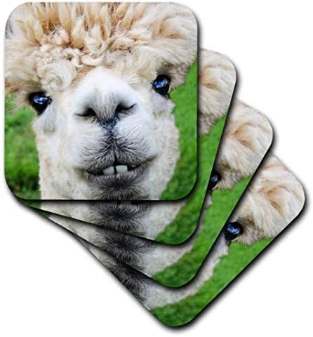 Меки Подложки 3D Rose Alpaca Lama Южна Америка, Бели, Пъстри