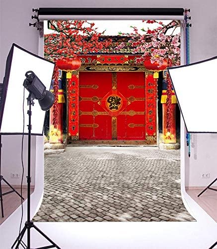 AOFOTO 6x8 фута Китайския Пролетен Фестивал на Фонова Картина Китайската Нова Година Декор на Двора Входната Врата Двустишие Flappers Червен Фенер Цъфтящи Цветя Сливи Фон Семейно Парти Студиен Портрет Подпори