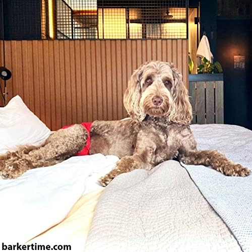 Barkertime Red Stripes Premium Непромокаема Пелена За кучета от Премиум-клас, XL, с отвор за опашката - Произведено в САЩ