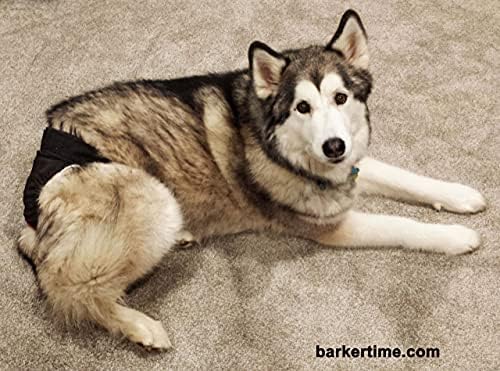 Barkertime Черен Водоустойчив Пелена за кучета от Премиум-клас, XL, Без дупка за опашката - Произведено в САЩ